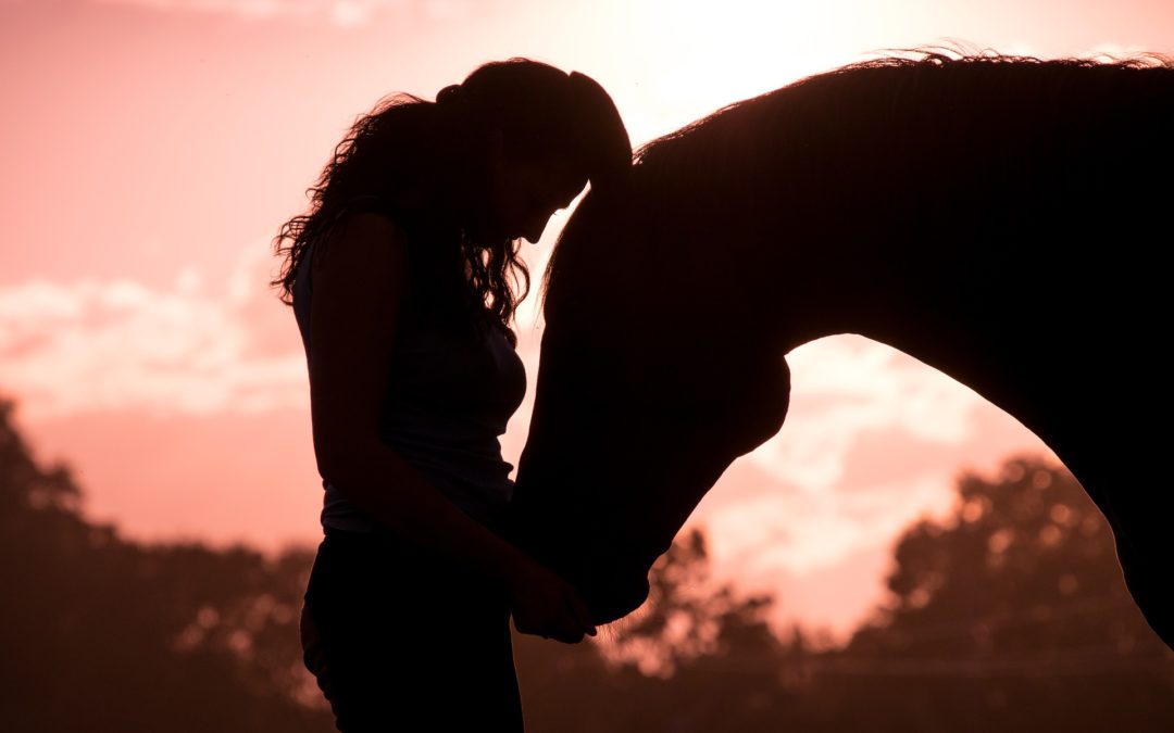 Atelier spécial propriétaires « Au Coeur de la Connexion » avec le cheval